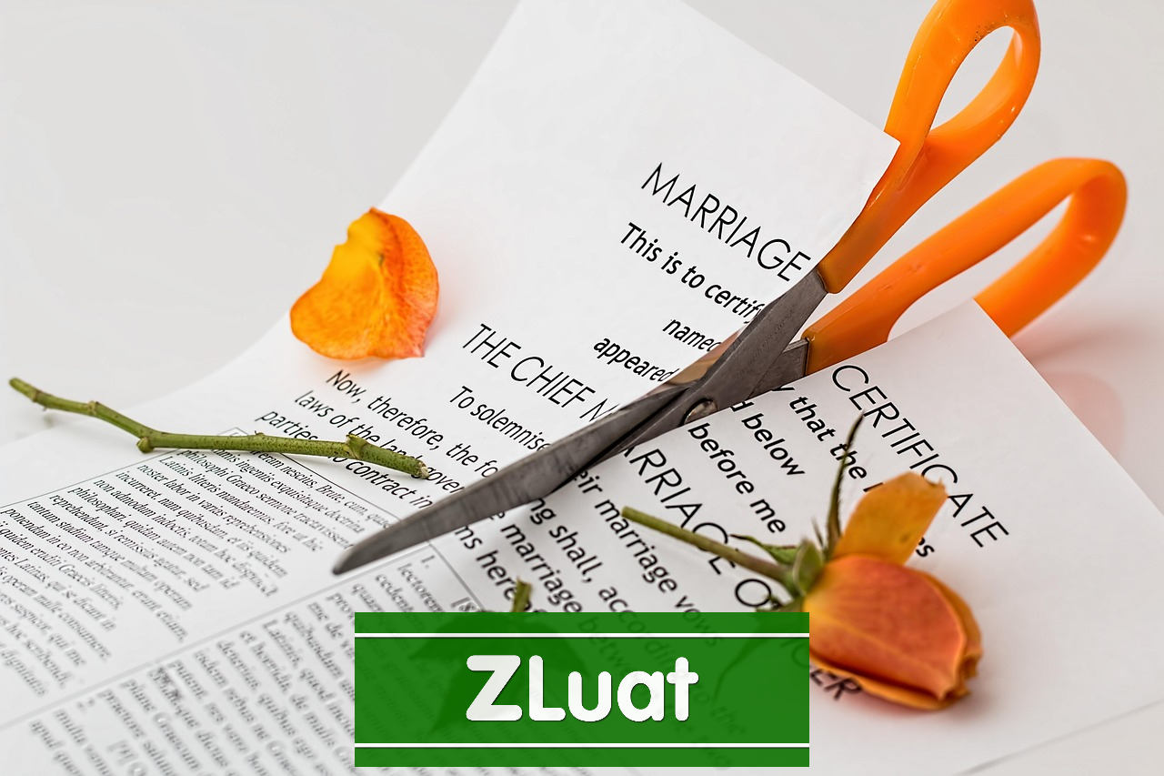 [Luật sư Long] – Gói dịch vụ ly dị Đơn phương phân chia tài sản tại khu vực xã Tân Vĩnh Lộc, Thành phố Hồ Chí Minh - Ảnh 1