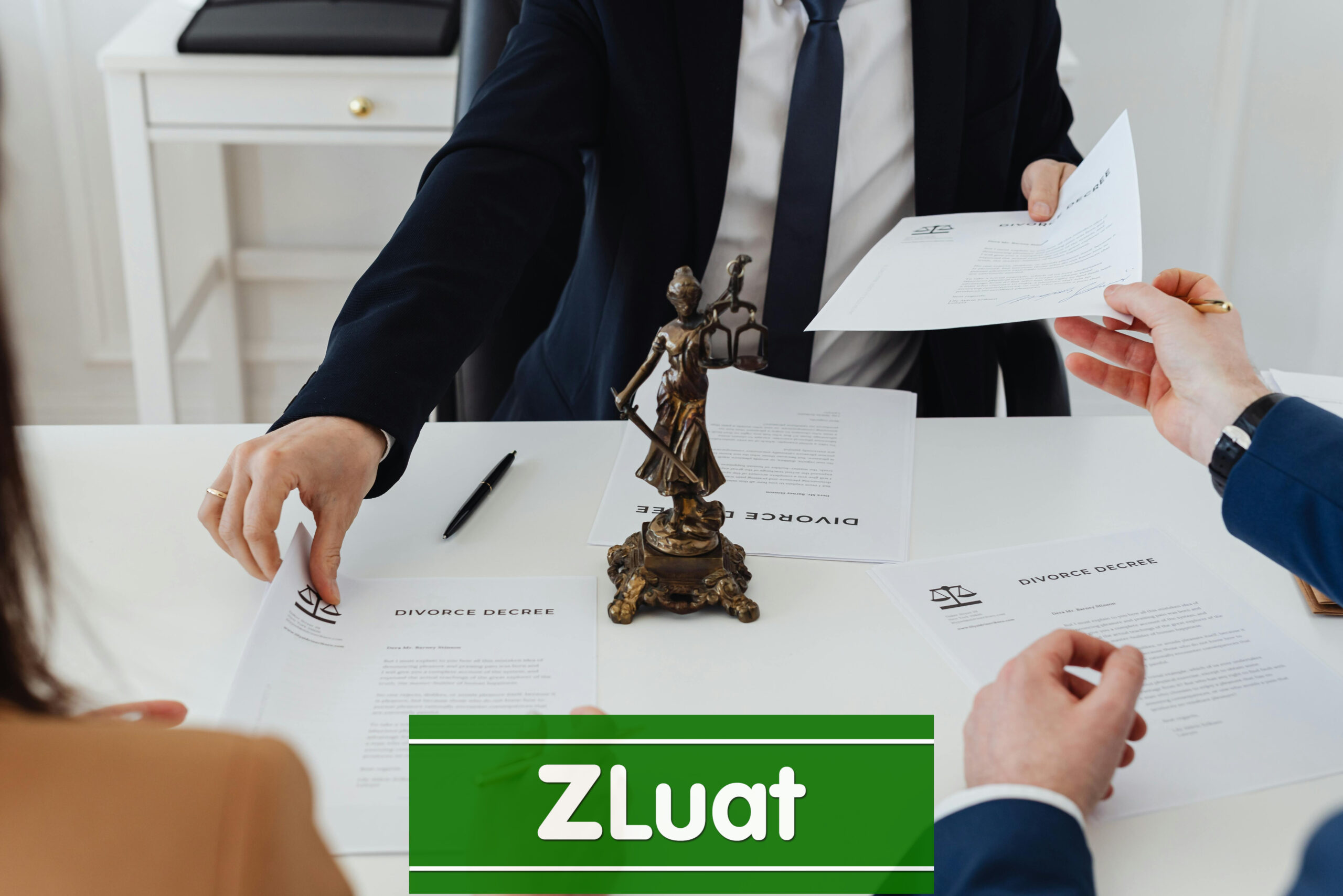 [Luật sư Long] – Dịch vụ ly dị Đơn phương phân chia tài sản chung tại Toà khu vực xã Bình Mỹ, Thành phố Hồ Chí Minh - Ảnh 1